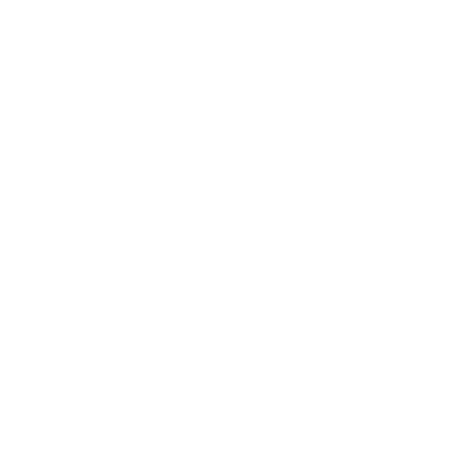 Version